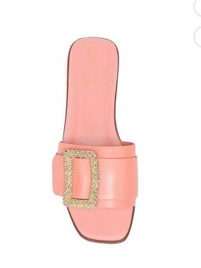 Sam Edelman Inez Slide Sandal in Canyon Clay, Size 7.5, New In Box Gold Buckle